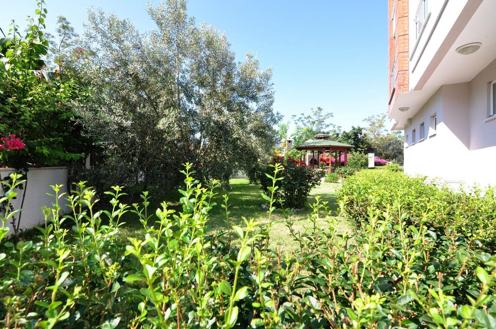 PHOTO-2024-10-14-12-03-29(1)