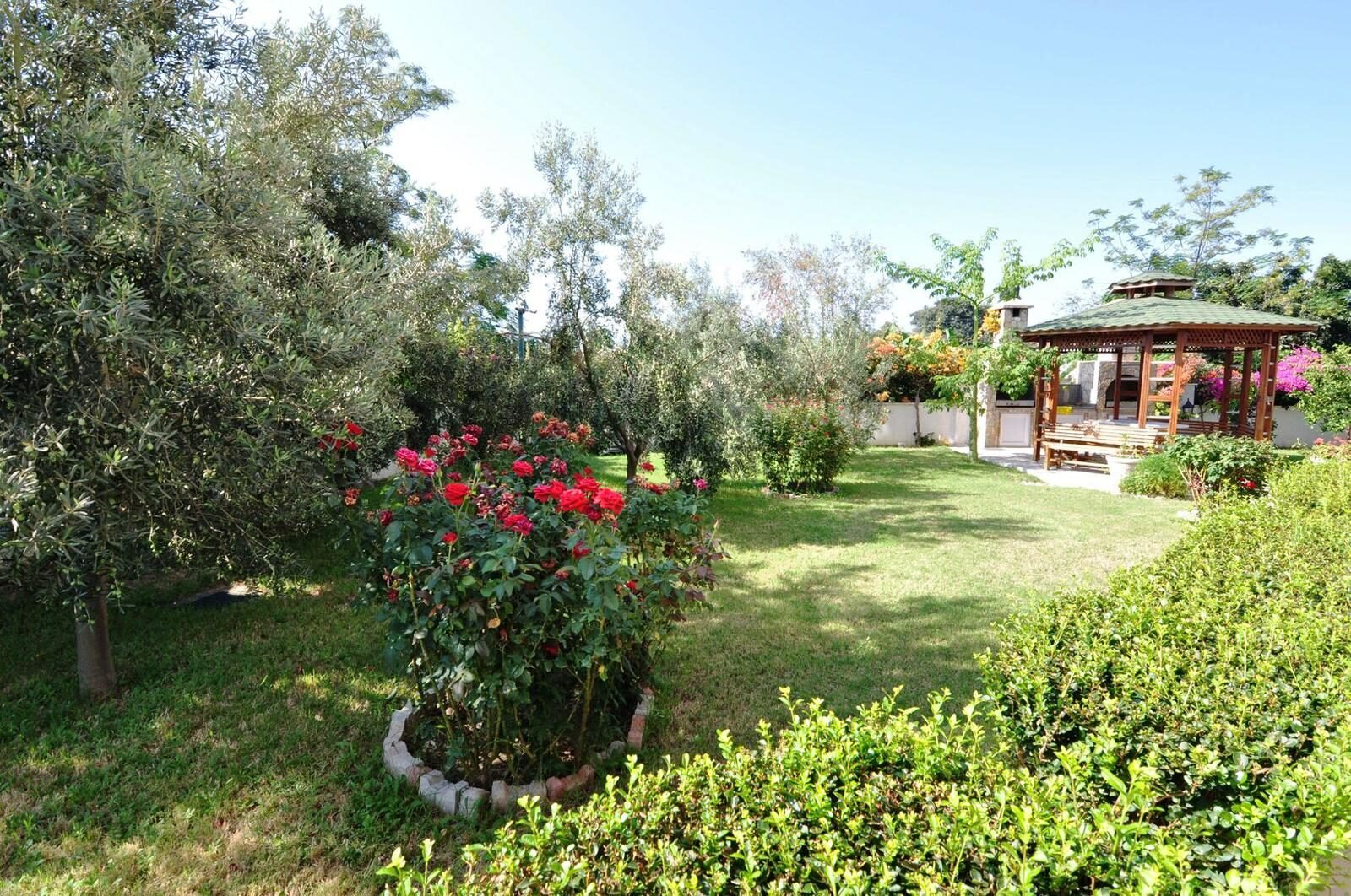 PHOTO-2024-10-14-12-03-30