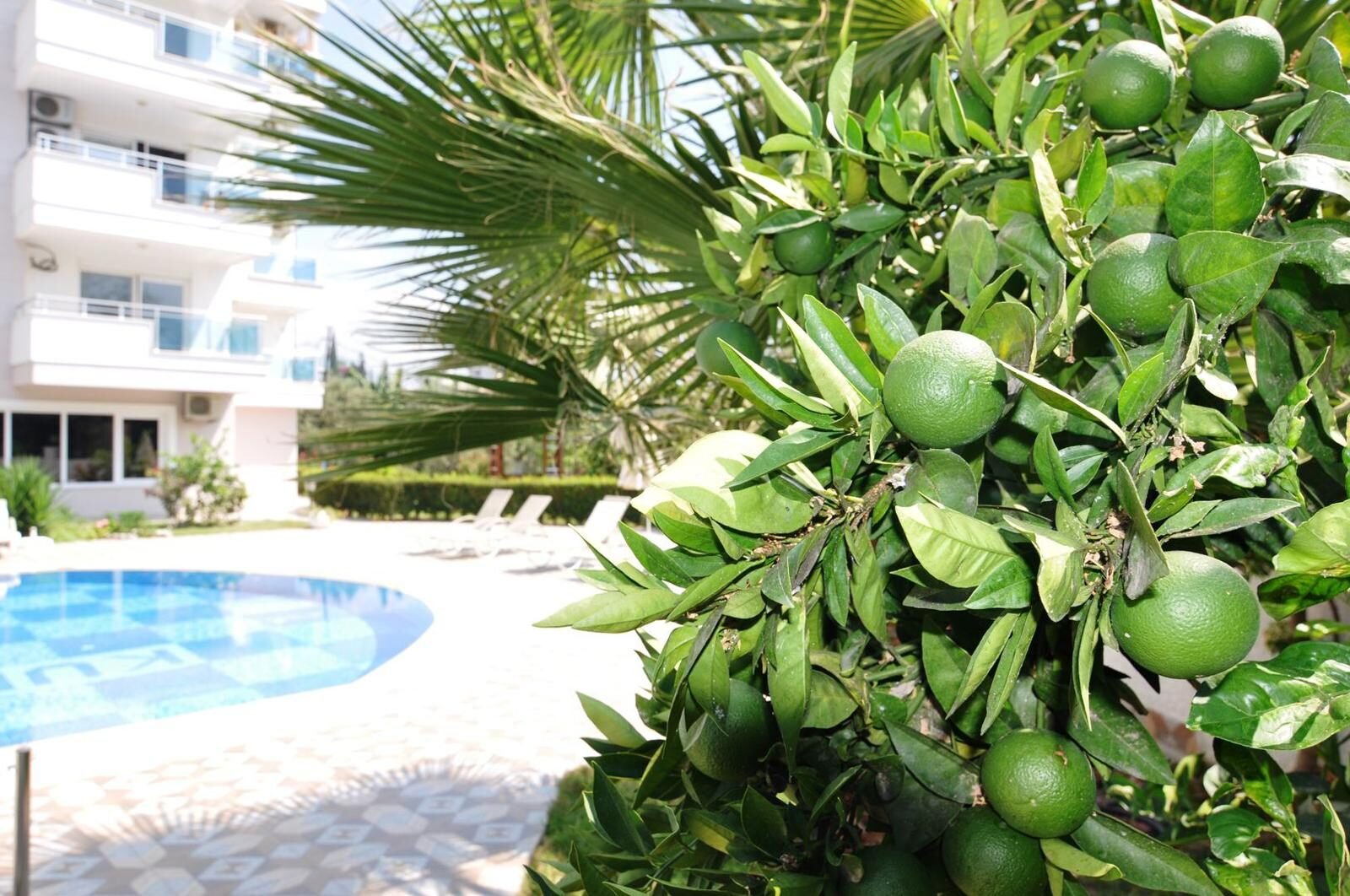 PHOTO-2024-10-14-12-03-34(1)