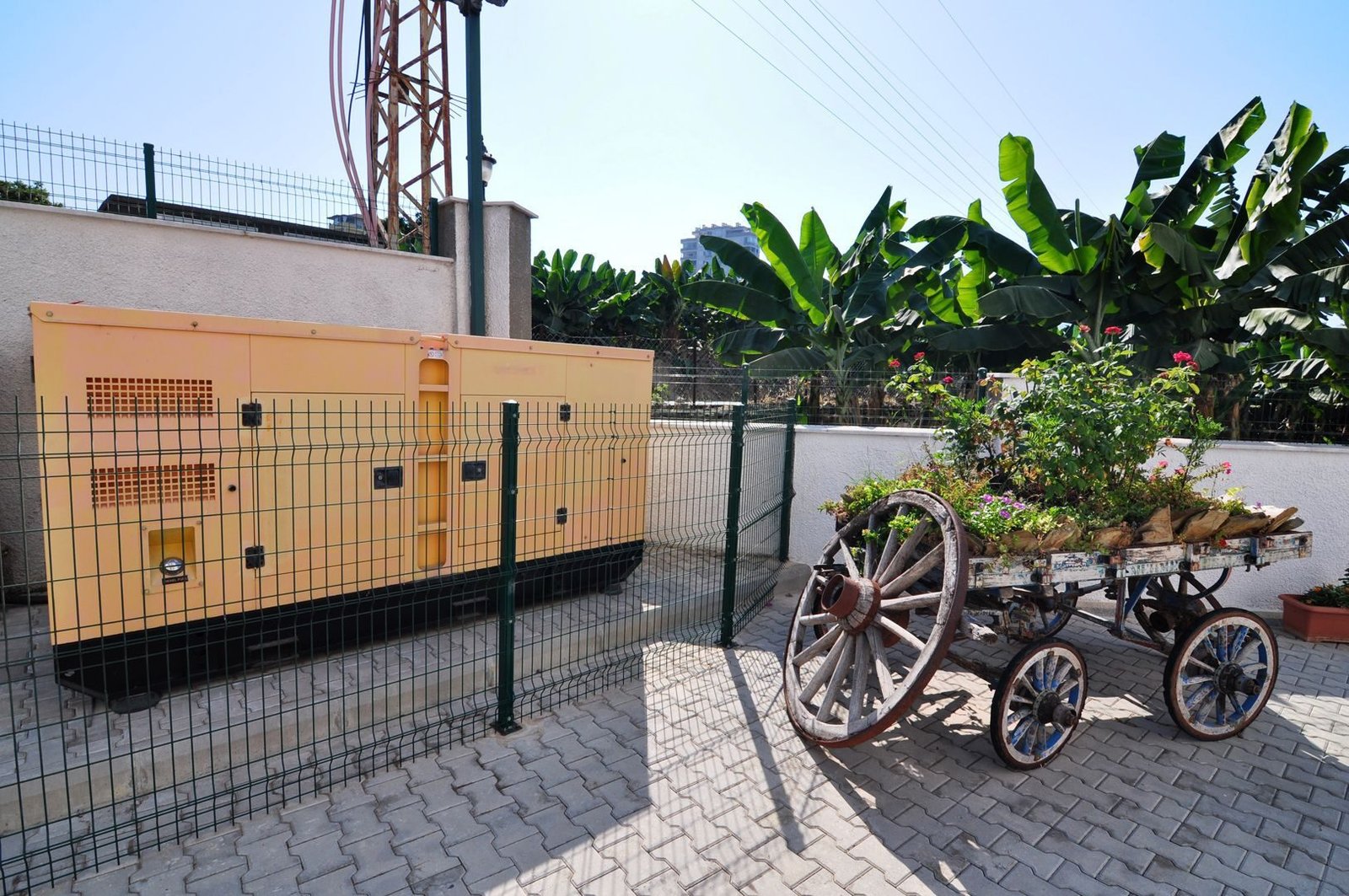 PHOTO-2024-10-14-12-03-38