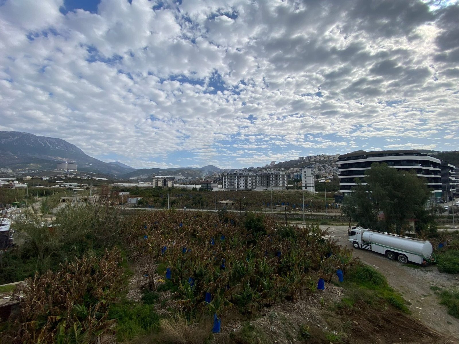 WhatsApp Image 2026-02-21 at 12.01.59 (6)