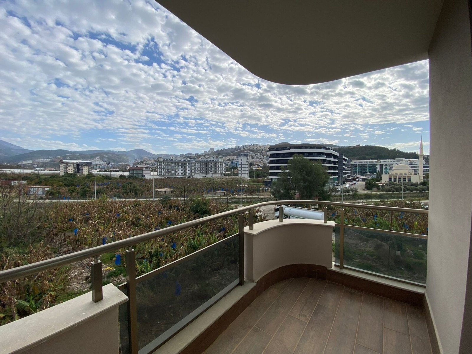 WhatsApp Image 2026-02-21 at 12.02.00